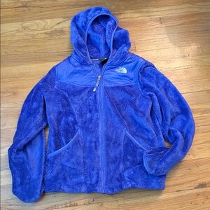 The North Face Royal Blue Hooded Fleece.